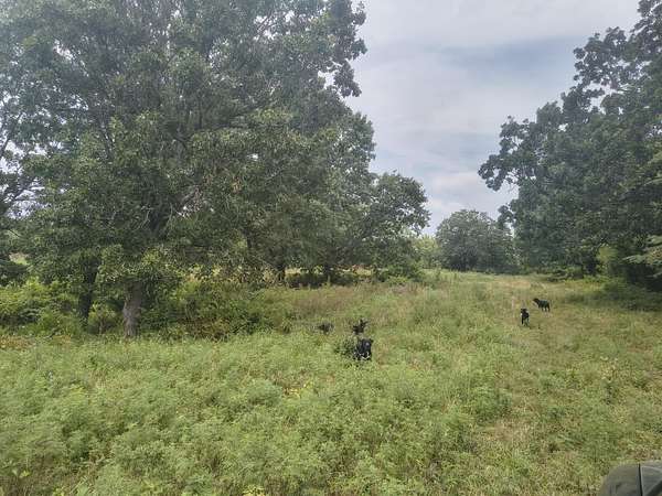 14.6 Acres of Land for Sale in Galena, Missouri