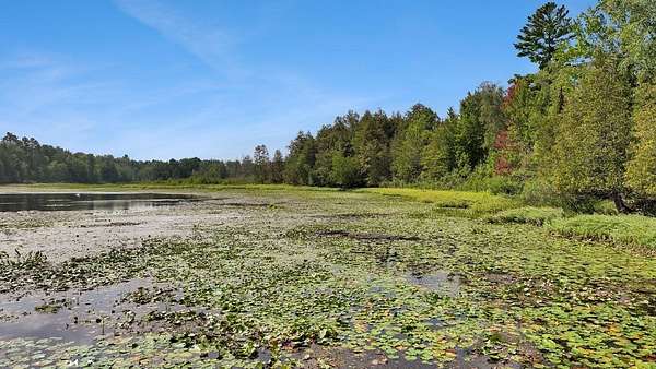 6.4 Acres of Residential Land for Sale in Mercer, Wisconsin