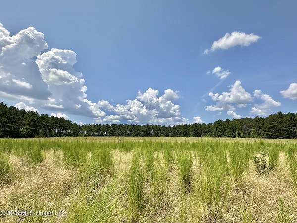 33 Acres of Recreational & Residential Land for Sale in Enterprise, Mississippi