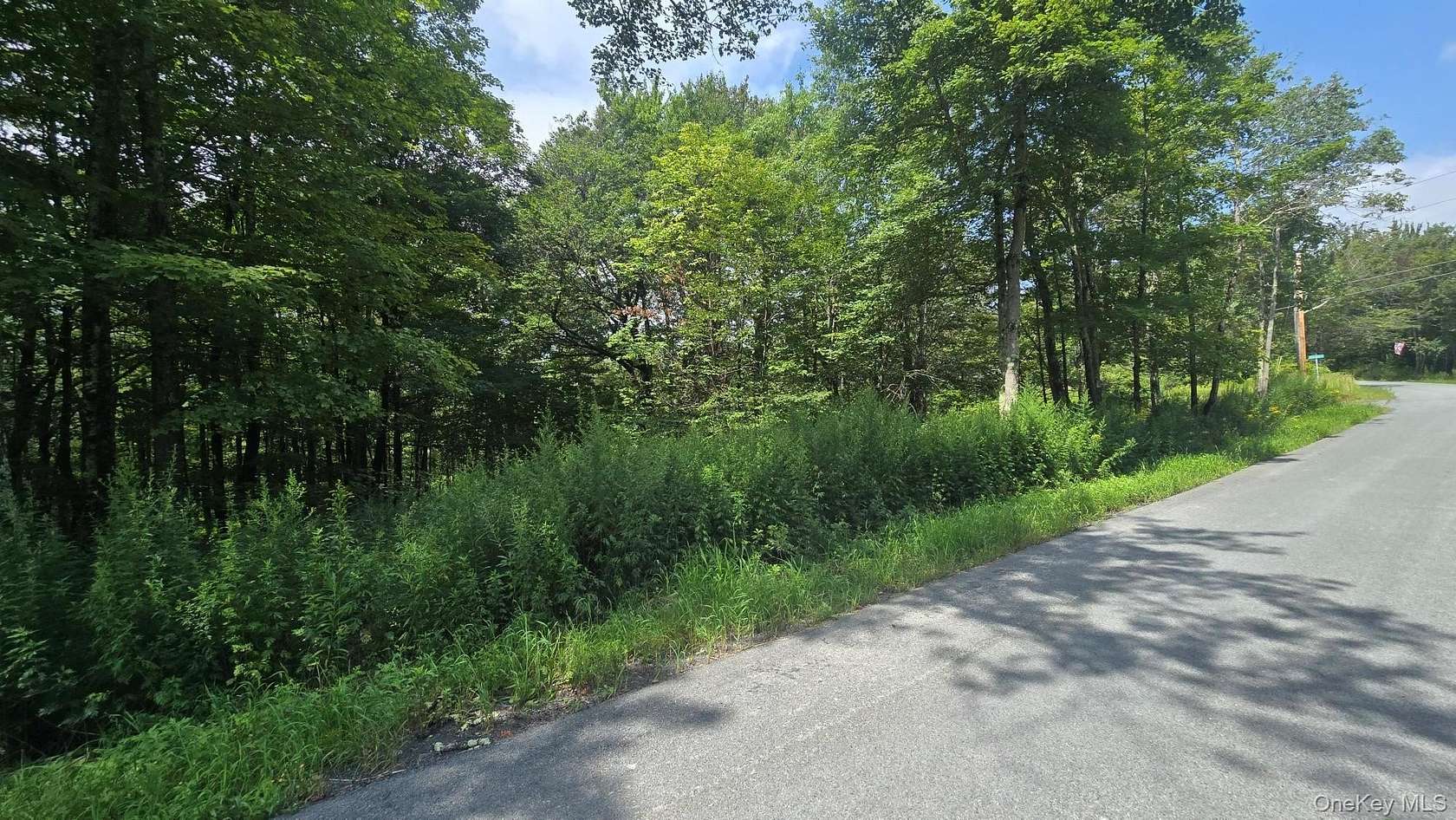 41.4 Acres of Recreational & Residential Land for Sale in Livingston Manor, New York