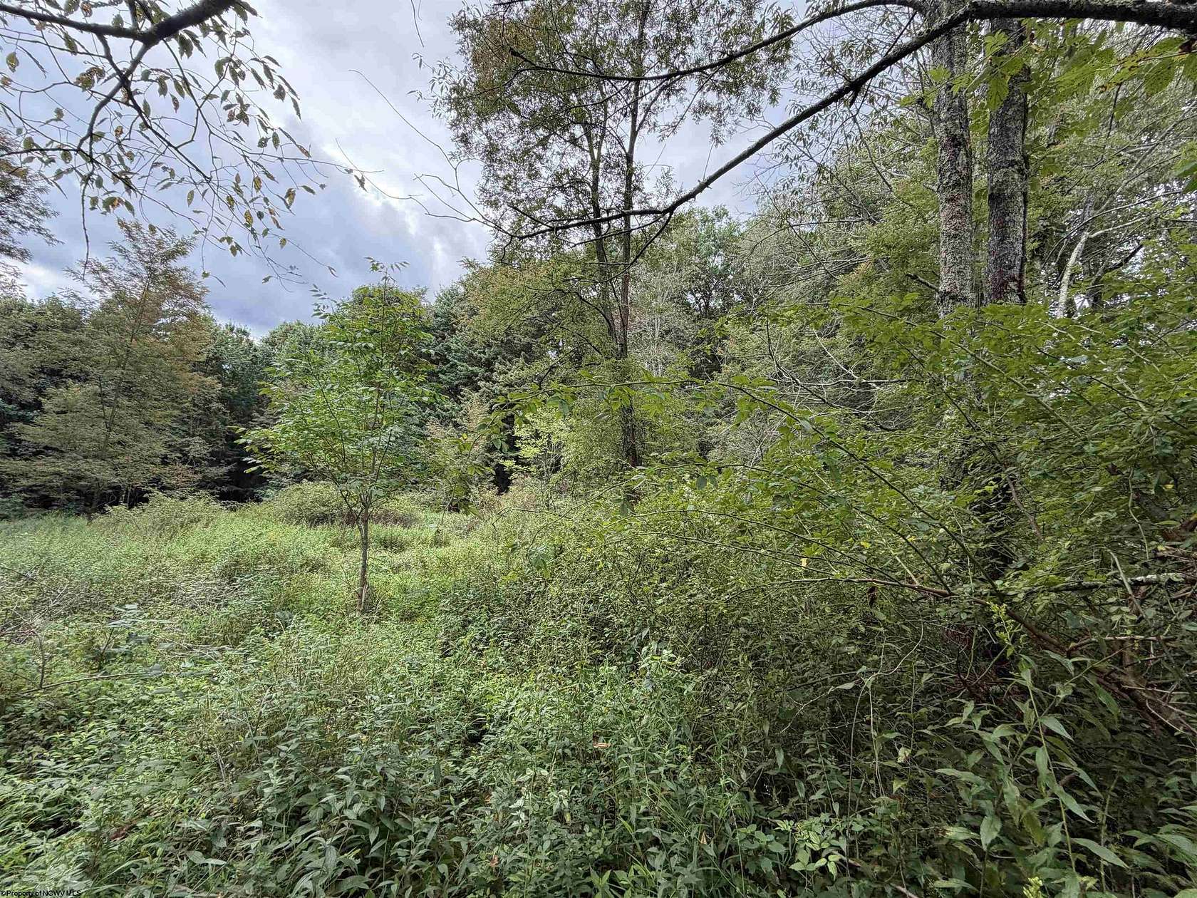 60 Acres of Recreational Land for Sale in Kingwood, West Virginia