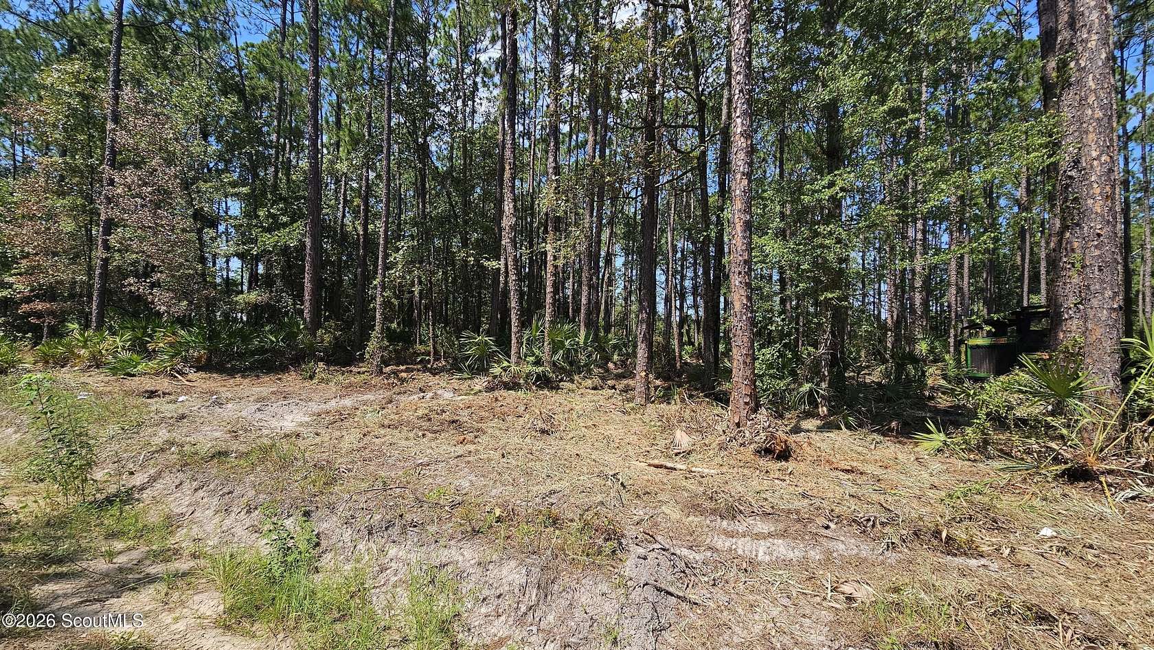 1 Acre of Land for Sale in Nahunta, Georgia