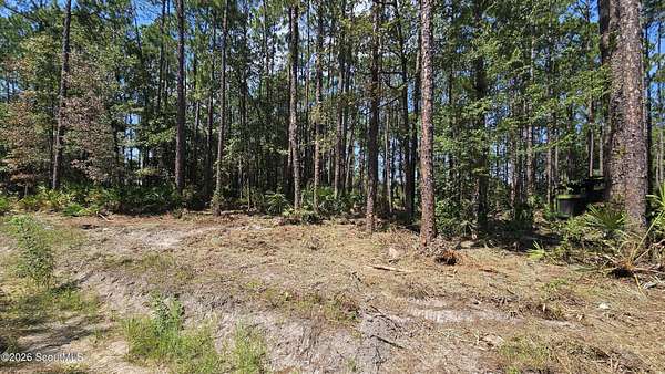 1 Acre of Land for Sale in Nahunta, Georgia
