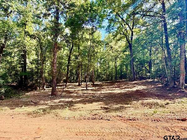0.36 Acres of Land for Sale in Bullard, Texas