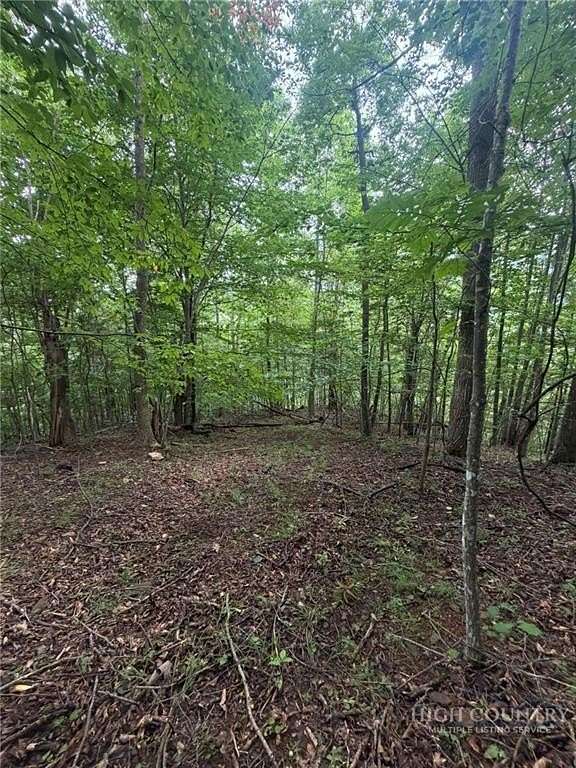 23 Acres of Recreational & Residential Land for Sale in Jefferson, North Carolina