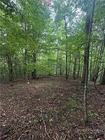 23 Acres of Recreational & Residential Land for Sale in Jefferson, North Carolina