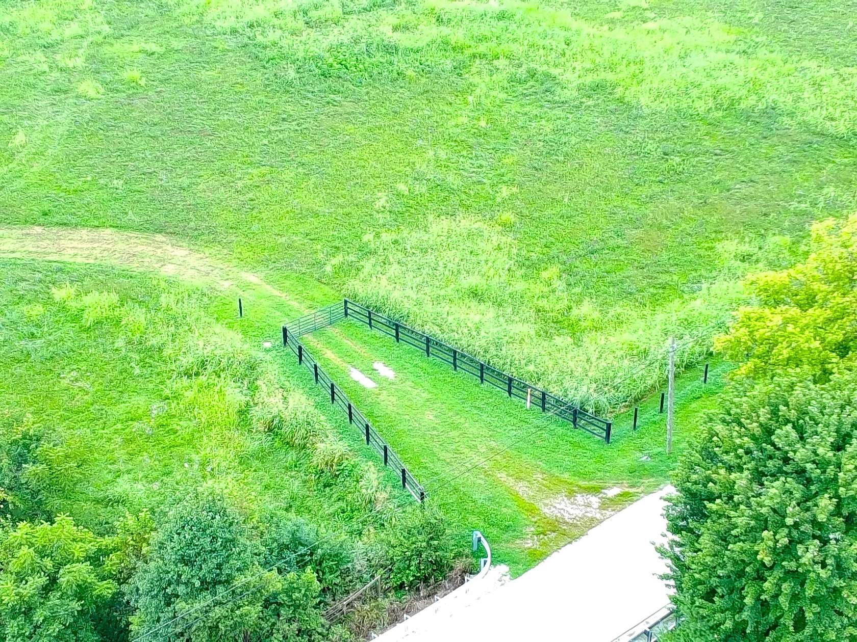 50 Acres of Land for Sale in Paris, Kentucky