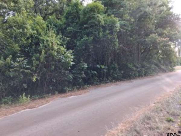 1 Acre of Residential Land for Sale in Murchison, Texas