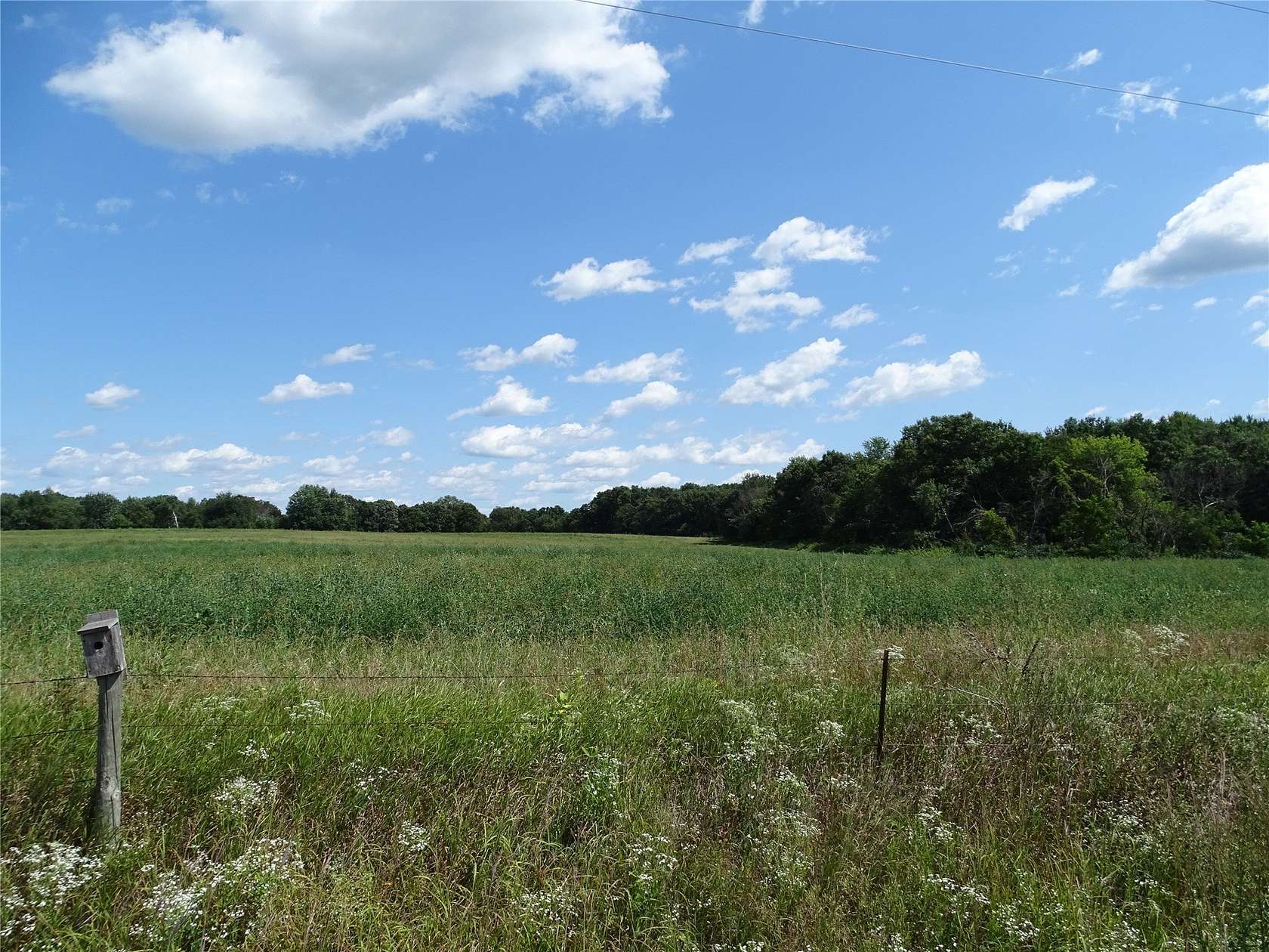 39.8 Acres of Recreational & Residential Land for Sale in Mondovi, Wisconsin