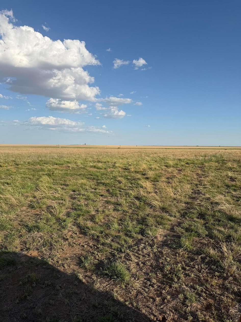 11.3 Acres of Land for Sale in Amarillo, Texas