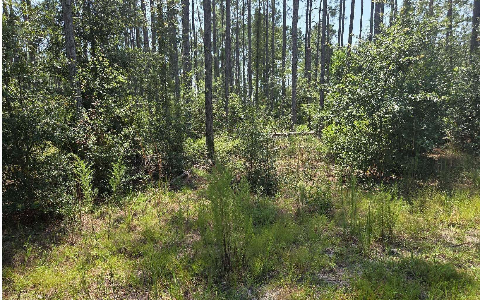 7.9 Acres of Land for Sale in Live Oak, Florida