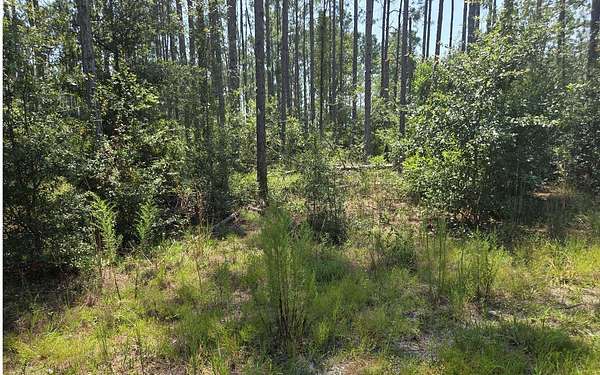 7.9 Acres of Land for Sale in Live Oak, Florida