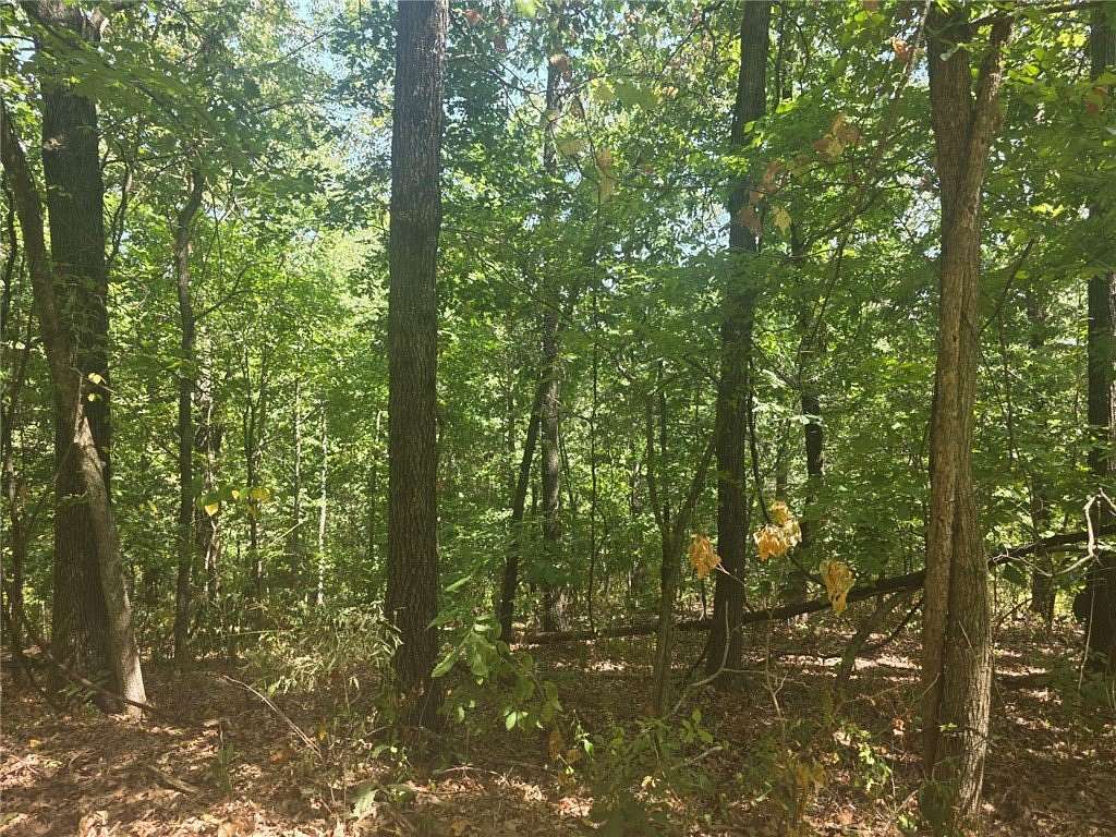 0.32 Acres of Land for Sale in Bella Vista, Arkansas