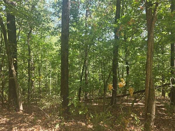 0.32 Acres of Land for Sale in Bella Vista, Arkansas