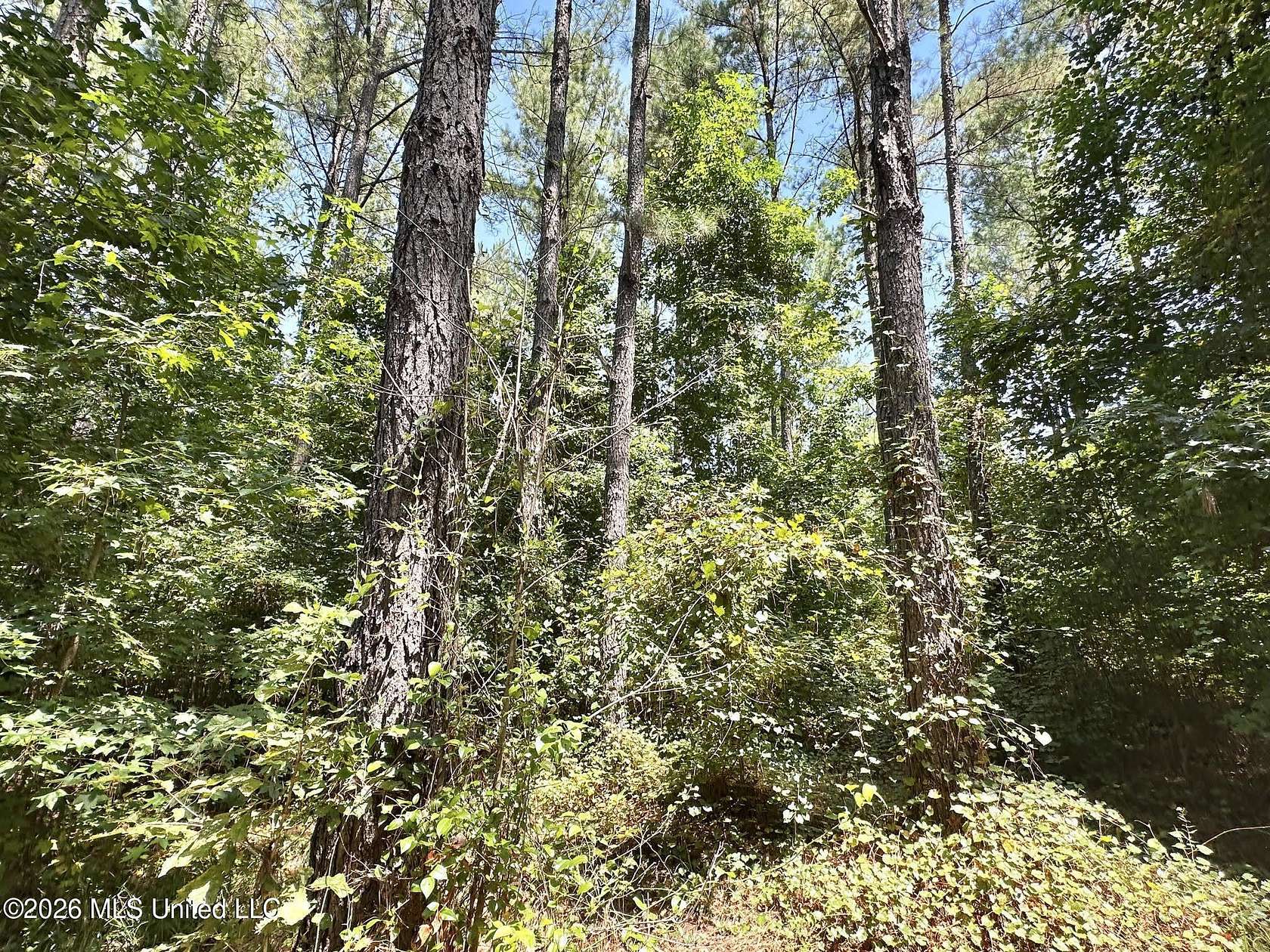 38 Acres of Recreational & Residential Land for Sale in Enterprise, Mississippi