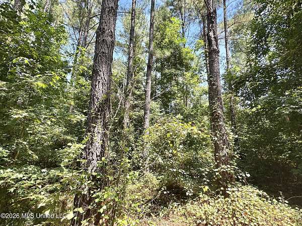 38 Acres of Recreational & Residential Land for Sale in Enterprise, Mississippi