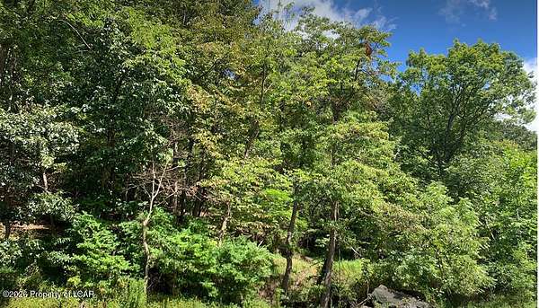1 Acre of Commercial Land for Sale in Hunlock Creek, Pennsylvania