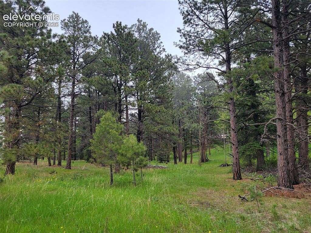 2.78 Acres of Land for Sale in Woodland Park, Colorado