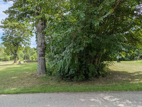 0.04 Acres of Commercial Land for Sale in Romulus, Michigan