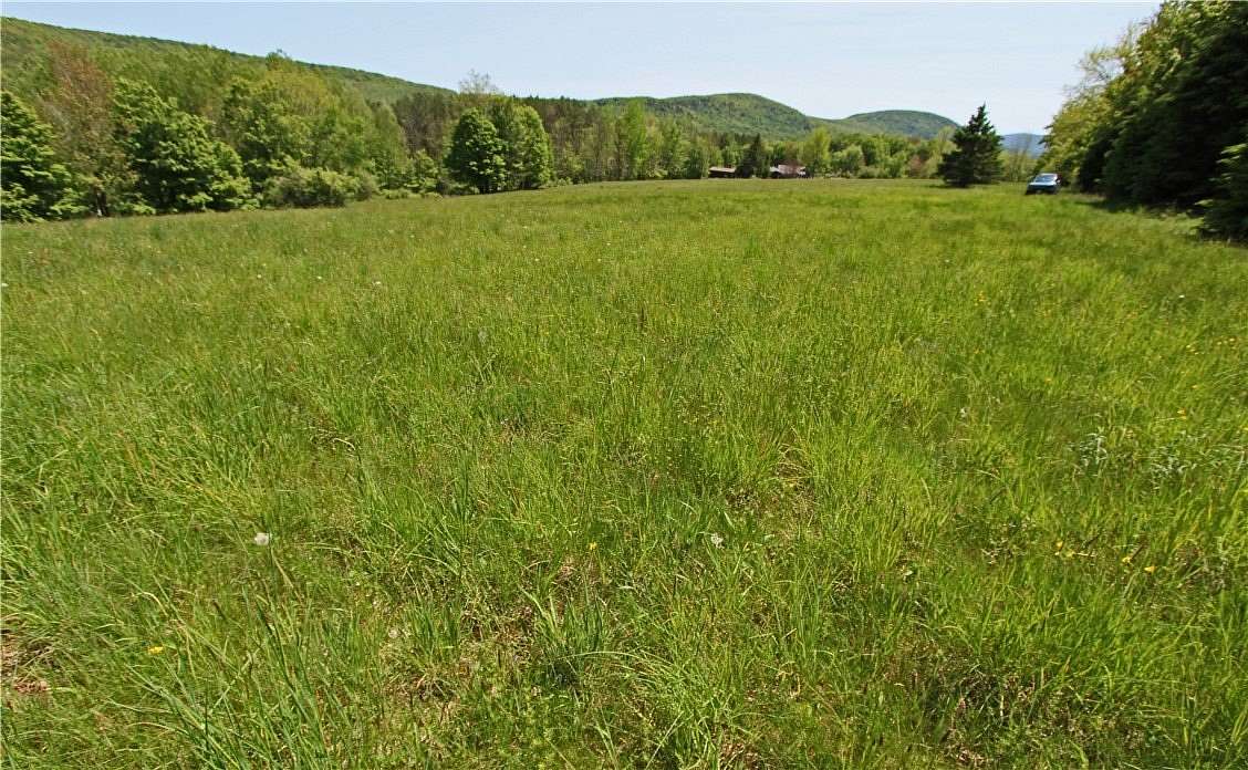8.73 Acres of Residential Land for Sale in Roxbury, New York
