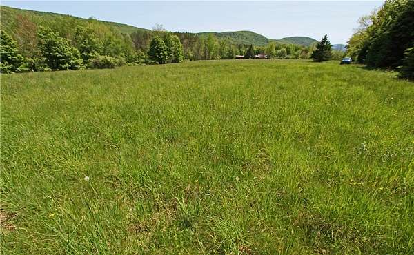 8.73 Acres of Residential Land for Sale in Roxbury, New York