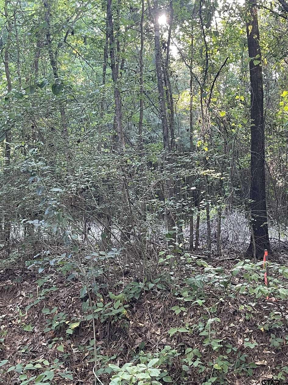 2.39 Acres of Residential Land for Sale in Troup, Texas