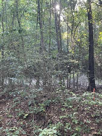 2.39 Acres of Residential Land for Sale in Troup, Texas
