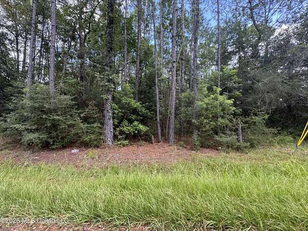 0.59 Acres of Residential Land for Sale in Waveland, Mississippi