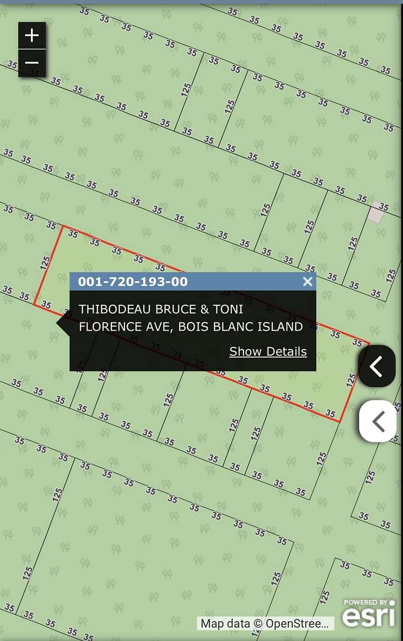 1.4 Acres of Land for Sale in Bois Blanc Township, Michigan