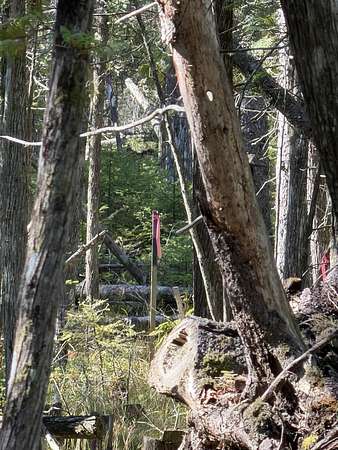 1.4 Acres of Land for Sale in Bois Blanc Township, Michigan