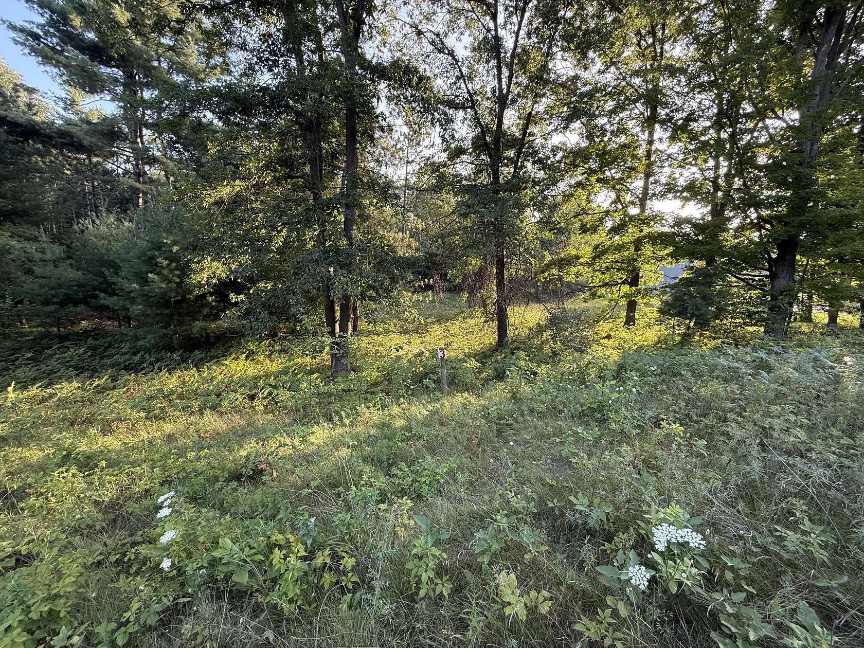 1.57 Acres of Residential Land for Sale in Big Rapids, Michigan