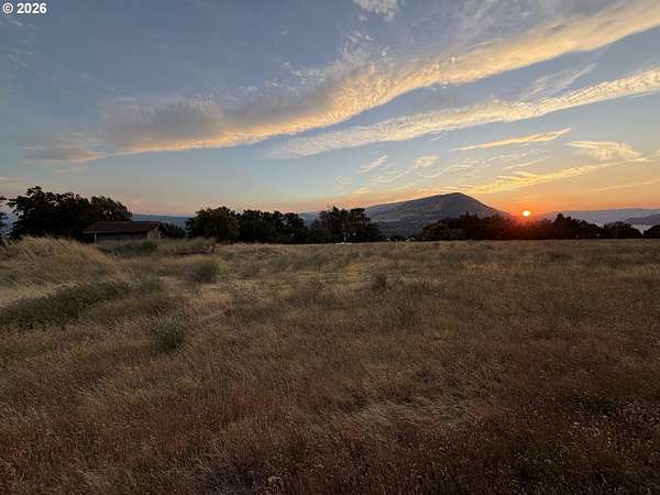 1 Acre of Residential Land for Sale in Lyle, Washington