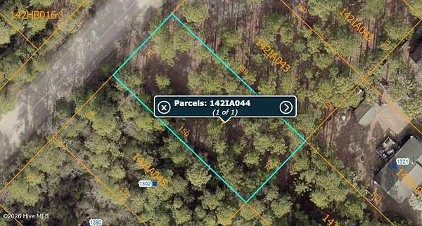 0.24 Acres of Residential Land for Sale in Boiling Spring Lakes, North Carolina