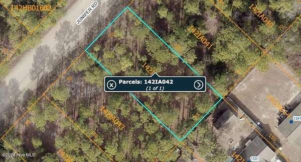 0.24 Acres of Residential Land for Sale in Boiling Spring Lakes, North Carolina