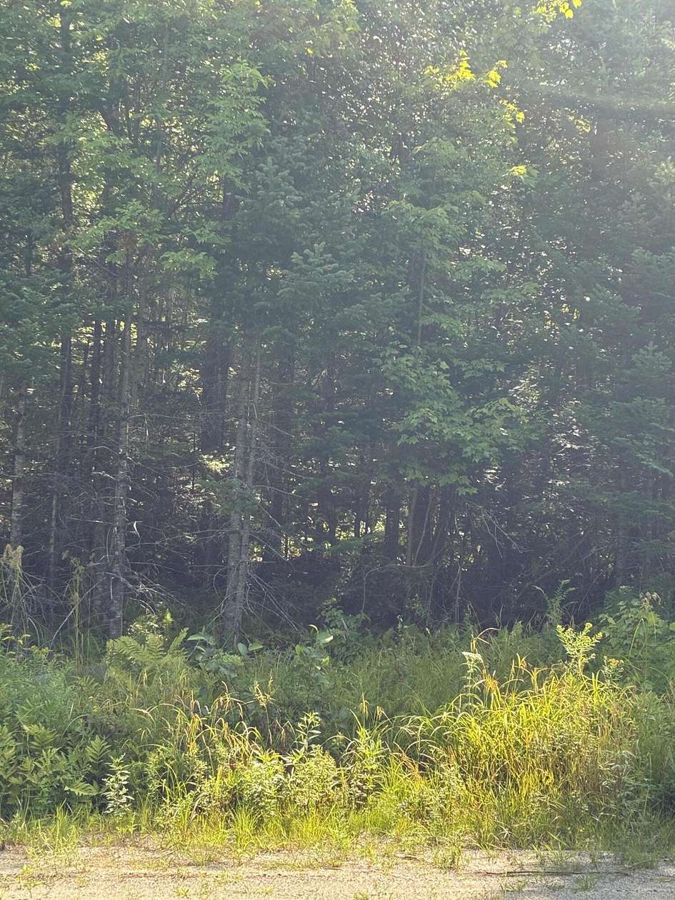 2.47 Acres of Land for Sale in Burlington, Maine