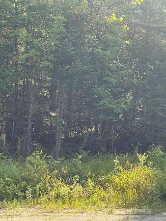 2.47 Acres of Land for Sale in Burlington, Maine