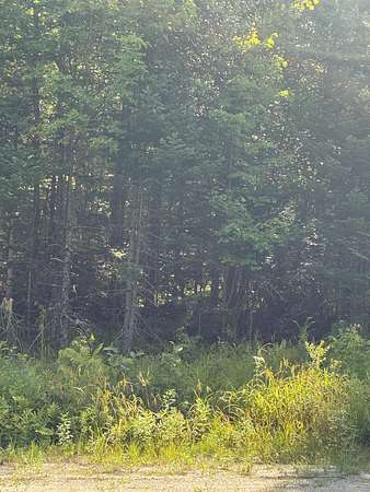 2.47 Acres of Land for Sale in Burlington, Maine