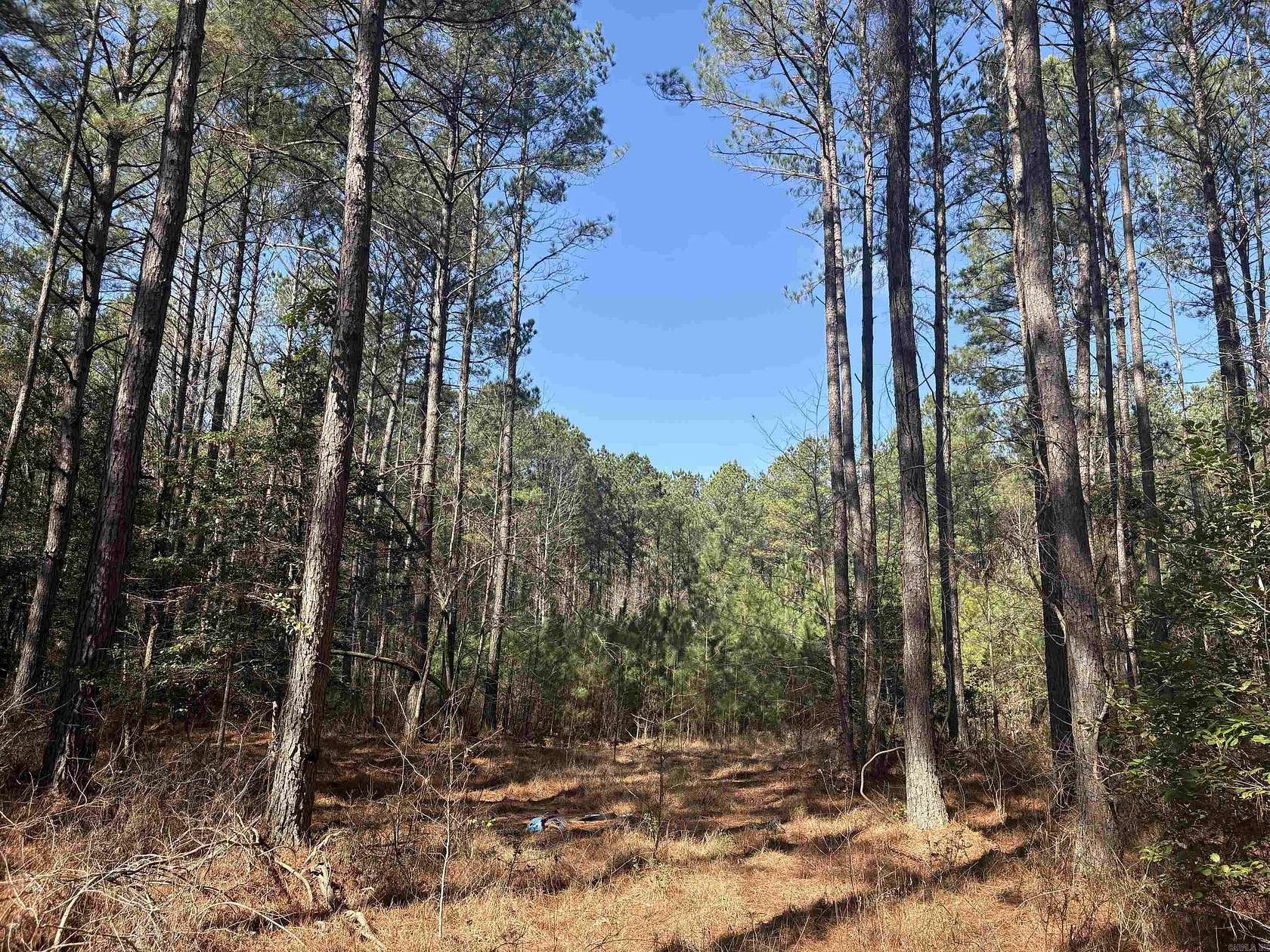 33.7 Acres of Recreational & Residential Land for Sale in Sheridan, Arkansas