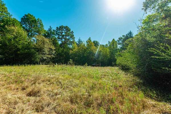 72.2 Acres of Recreational Land for Sale in Ben Wheeler, Texas