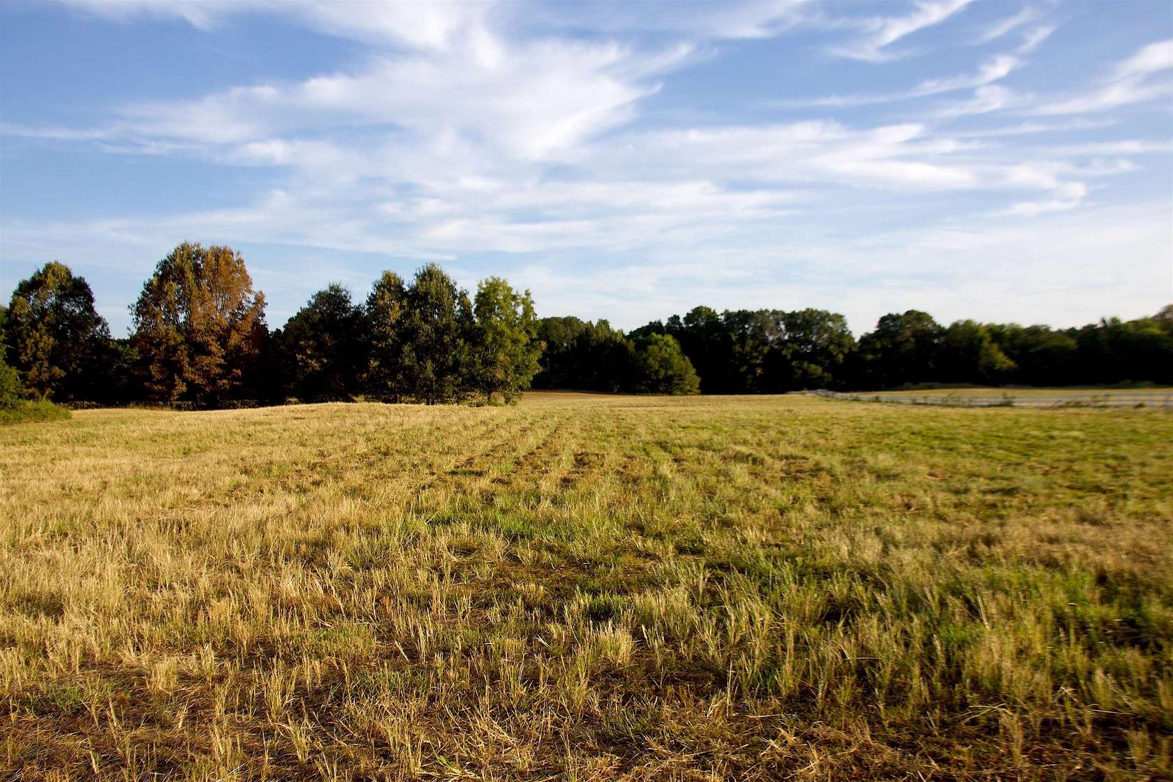 7 Acres of Land for Sale in La Grange, Tennessee