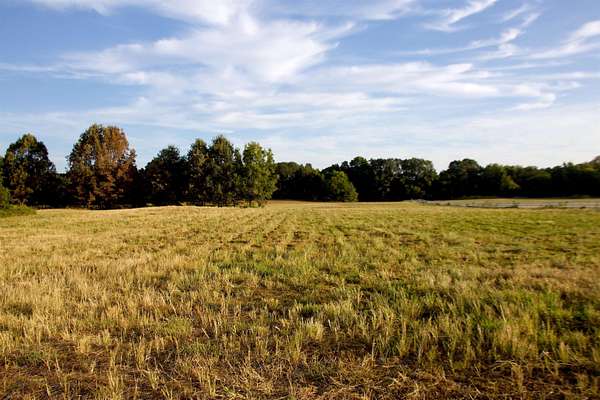 7 Acres of Land for Sale in La Grange, Tennessee