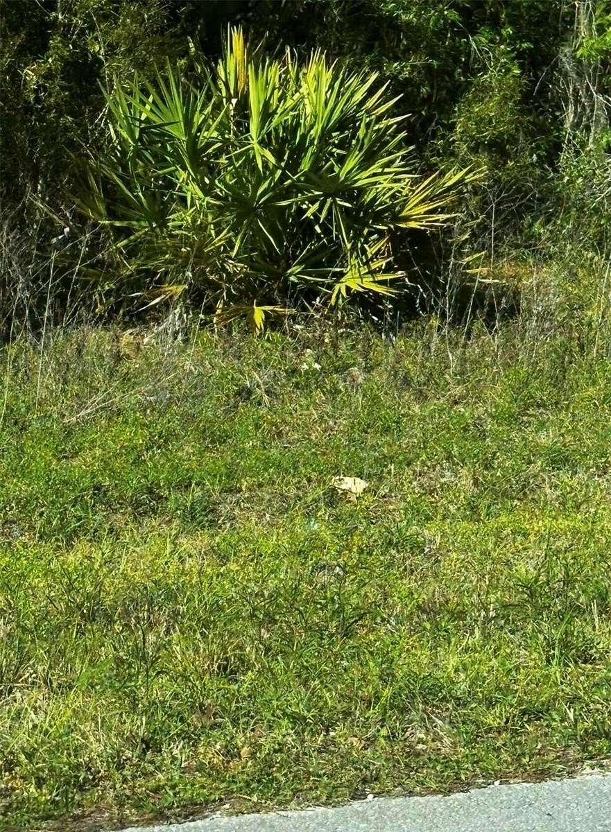 0.24 Acres of Residential Land for Sale in Ocala, Florida