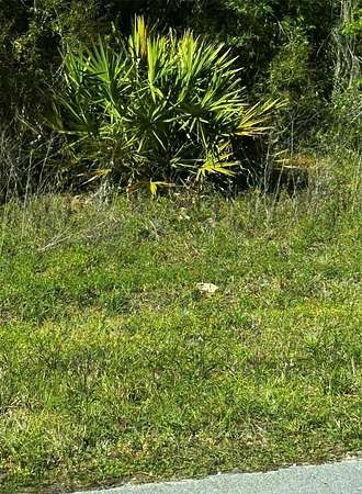 0.24 Acres of Residential Land for Sale in Ocala, Florida