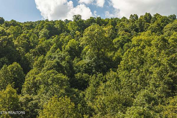 89 Acres of Recreational Land for Auction in Speedwell, Tennessee