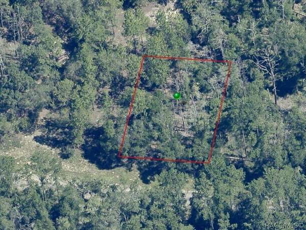 0.23 Acres of Land for Sale in Citrus Springs, Florida