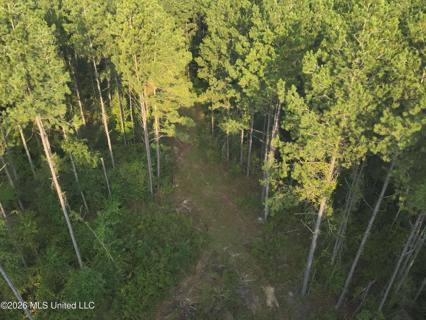84 Acres of Recreational & Residential Land for Sale in Oak Vale, Mississippi