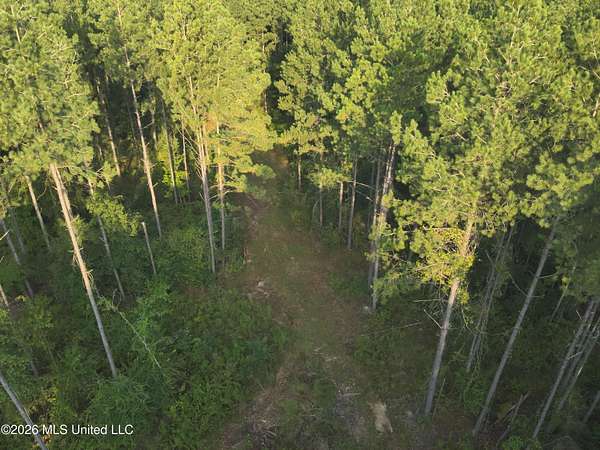 84 Acres of Recreational & Residential Land for Sale in Oak Vale, Mississippi