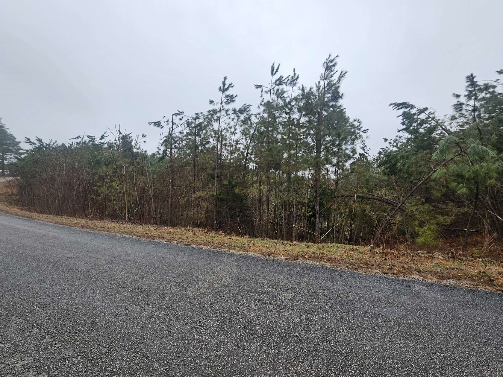 15 Acres of Recreational & Residential Land for Sale in Linden, Tennessee
