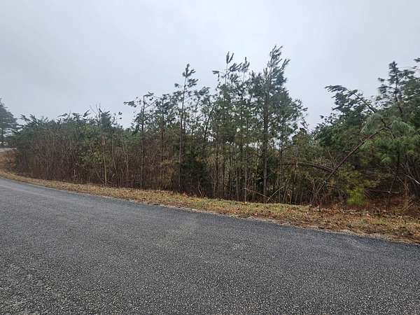 15 Acres of Recreational & Residential Land for Sale in Linden, Tennessee
