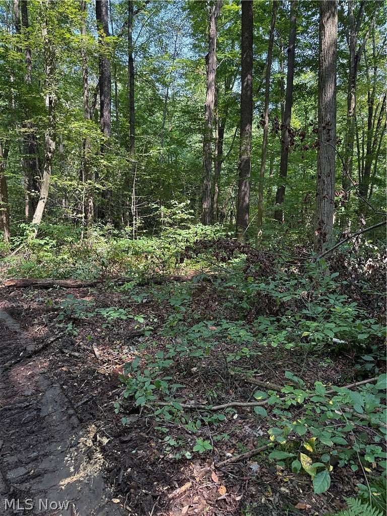 25 Acres of Recreational & Residential Land for Sale in Andover, Ohio